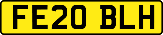 FE20BLH