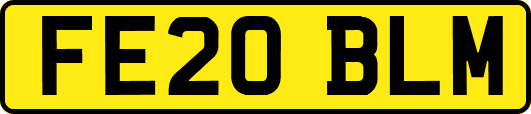 FE20BLM