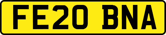 FE20BNA