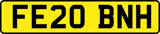 FE20BNH