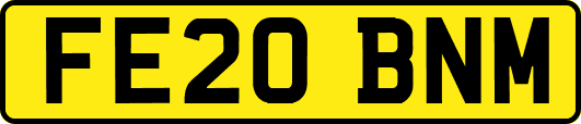 FE20BNM
