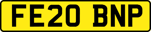 FE20BNP