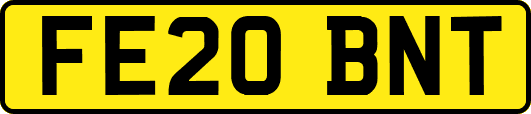 FE20BNT
