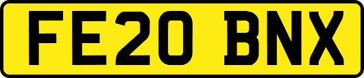 FE20BNX