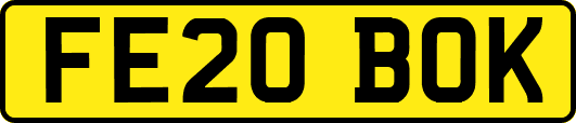FE20BOK