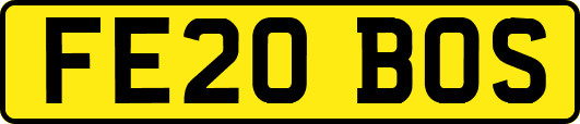 FE20BOS