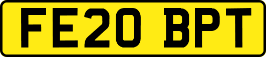 FE20BPT