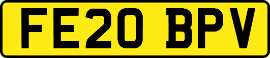 FE20BPV