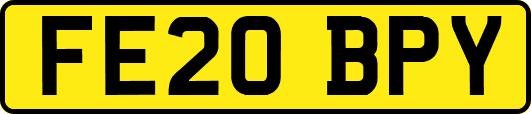 FE20BPY