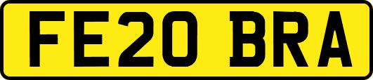 FE20BRA