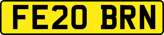 FE20BRN