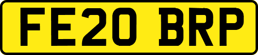 FE20BRP