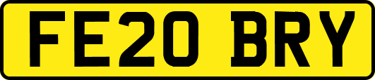 FE20BRY
