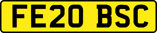 FE20BSC