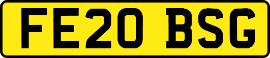 FE20BSG