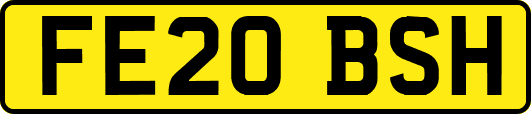 FE20BSH