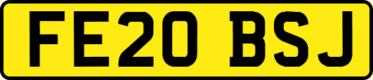 FE20BSJ