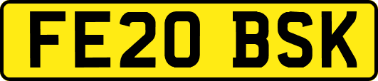 FE20BSK