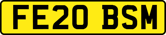 FE20BSM