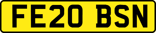 FE20BSN