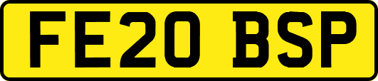 FE20BSP