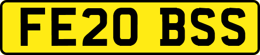 FE20BSS
