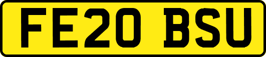 FE20BSU