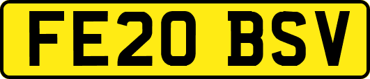 FE20BSV