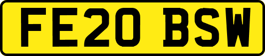 FE20BSW