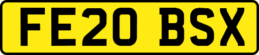 FE20BSX