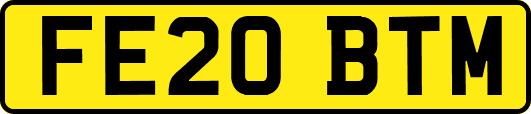 FE20BTM