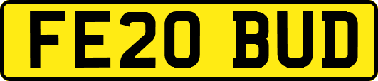 FE20BUD