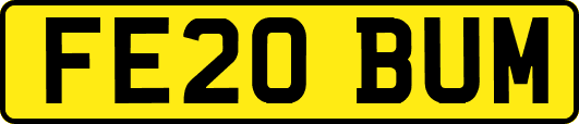 FE20BUM