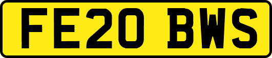 FE20BWS
