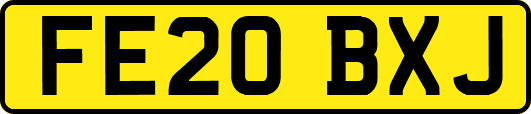 FE20BXJ