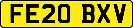 FE20BXV