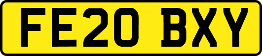 FE20BXY