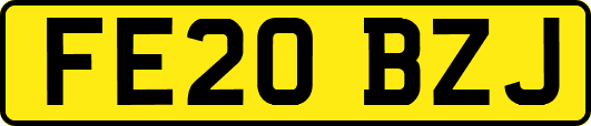 FE20BZJ