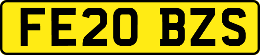 FE20BZS