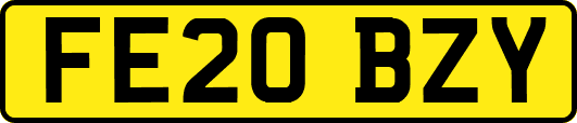 FE20BZY
