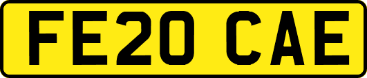 FE20CAE