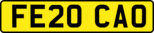 FE20CAO