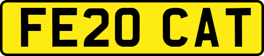FE20CAT