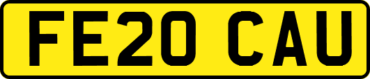 FE20CAU