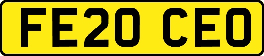 FE20CEO