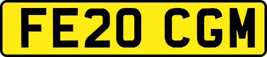 FE20CGM