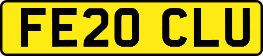 FE20CLU