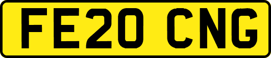 FE20CNG