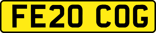 FE20COG