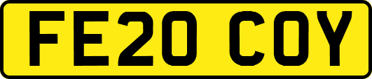 FE20COY